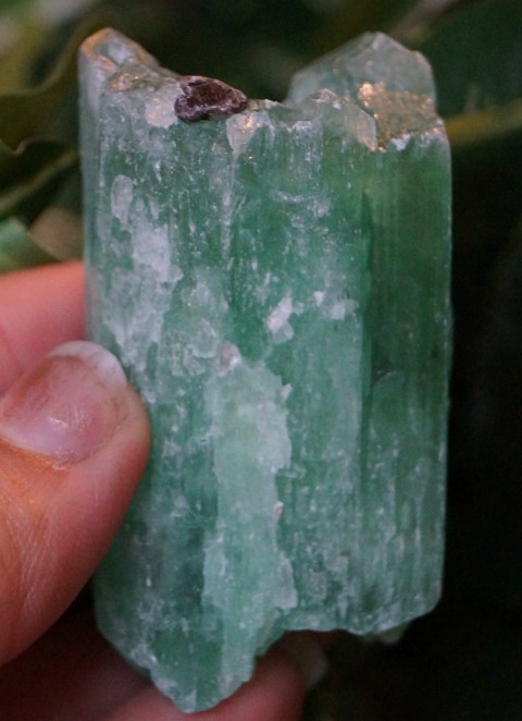 Hiddenite can help remind us of our innate connection to the Divine 3713